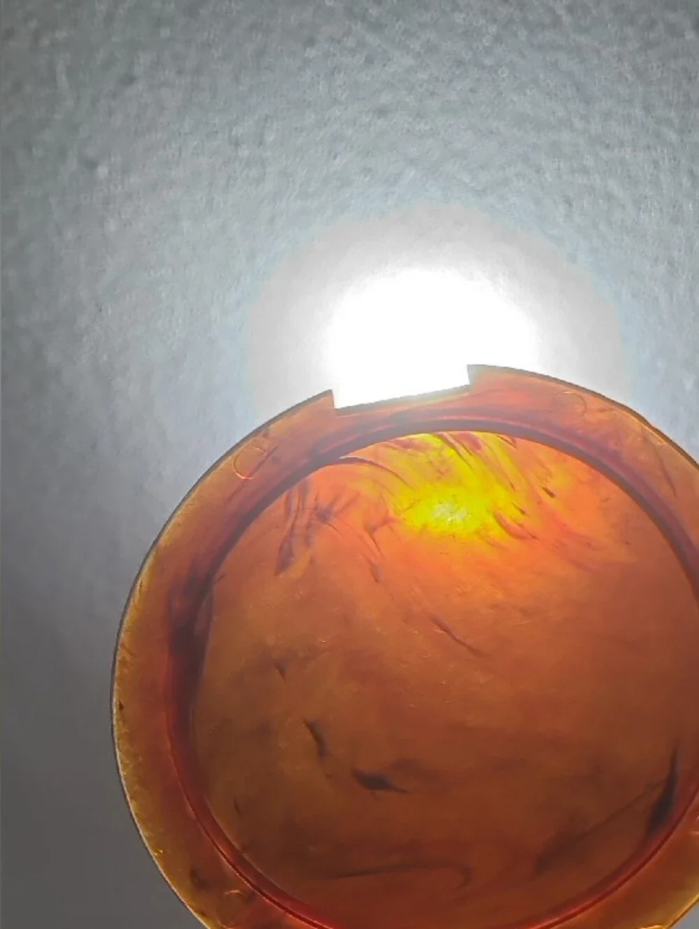 N/A rich tortoiseshell round
